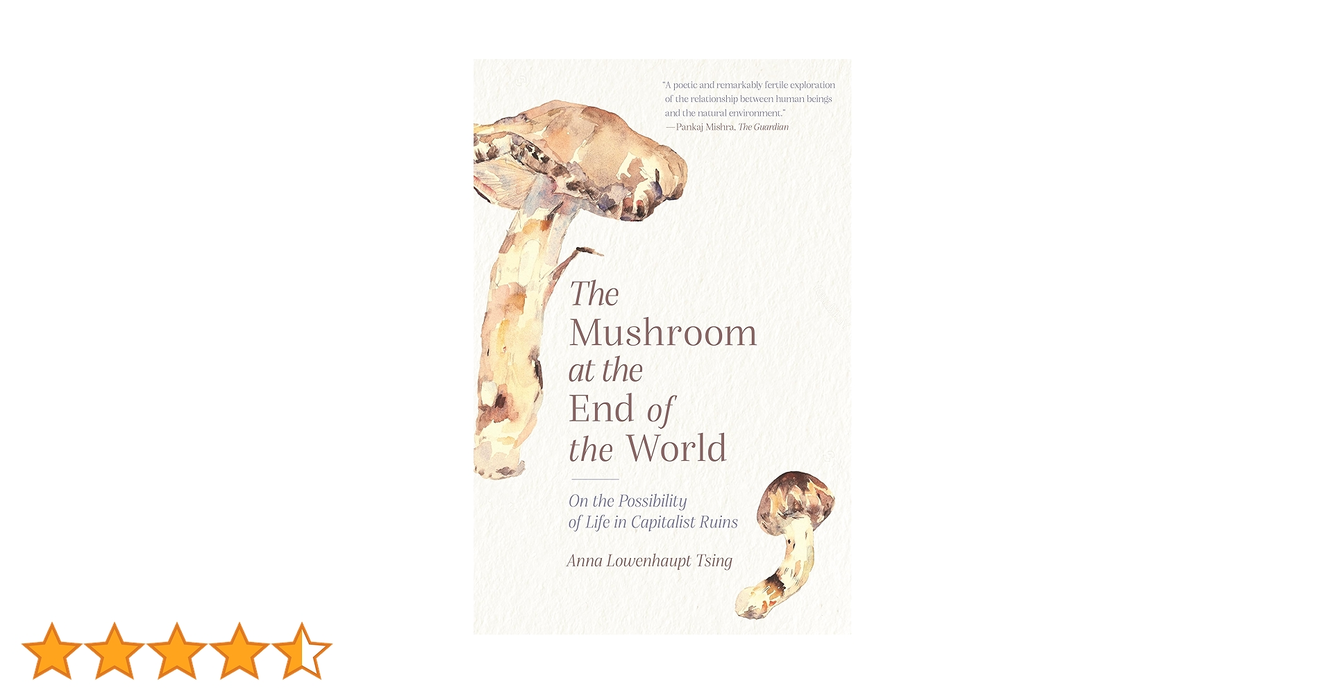洋書 Mushrooms Amazon | The Mushroom at the End of the World: On the
